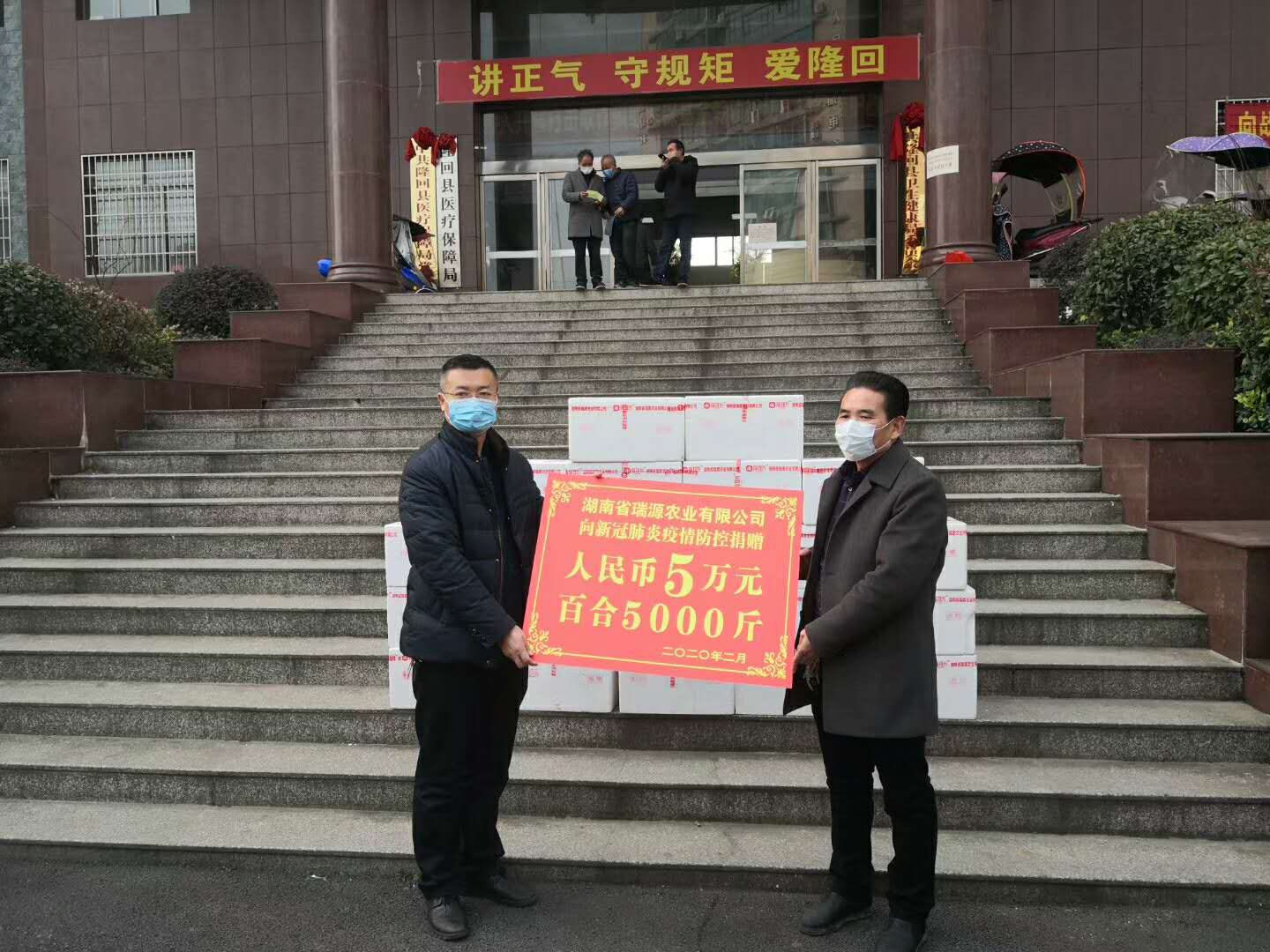 龙牙百合厂家