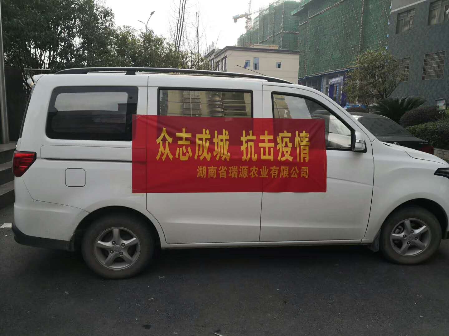 龙牙百合
